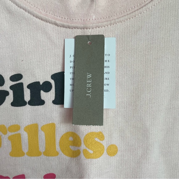 J. CREW GIRLS INC. PINK PULLOVER SWEATER SIZE MEDIUM LONG SLEEVE CREW NECK NWT - Picture 10 of 13